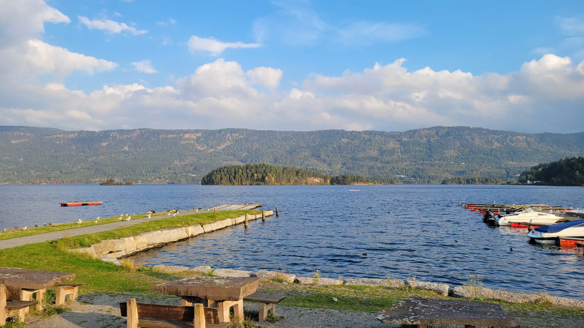 Vik auf eigene Faust: Tipps für Kreuzfahrt-Ausflüge